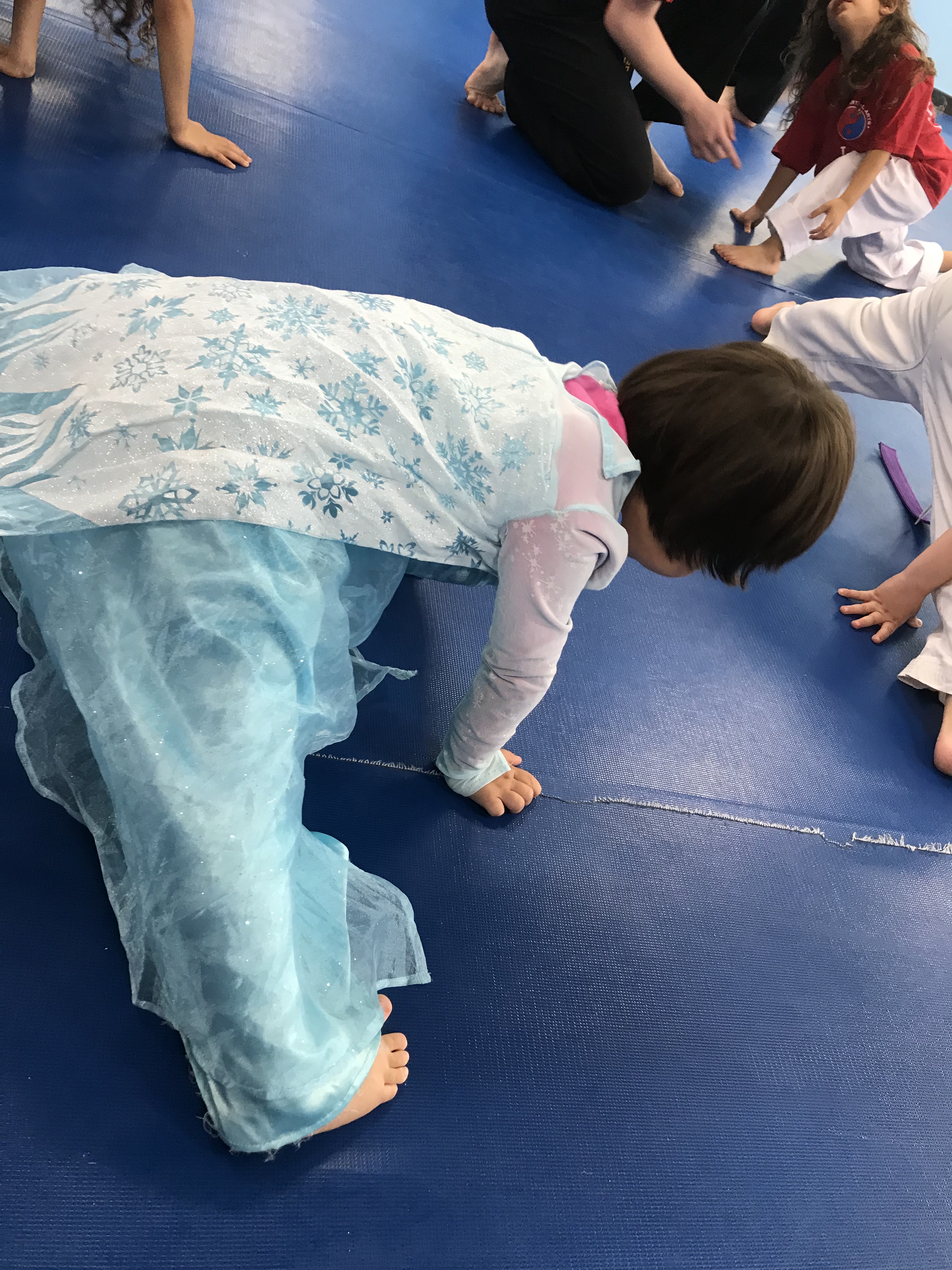 TaeKwonDoPrincessElsa